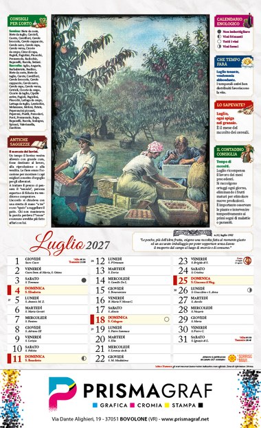 Pagina di luglio del calendario: raccolta della frutta nel frutteto